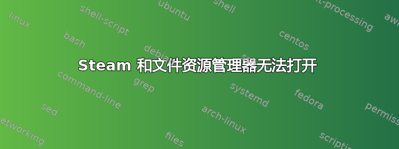 Steam 和文件资源管理器无法打开