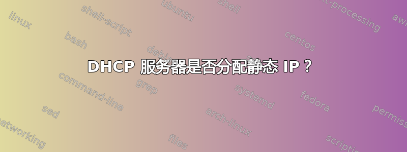 DHCP 服务器是否分配静态 IP？