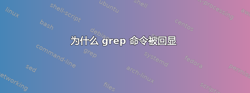 为什么 grep 命令被回显