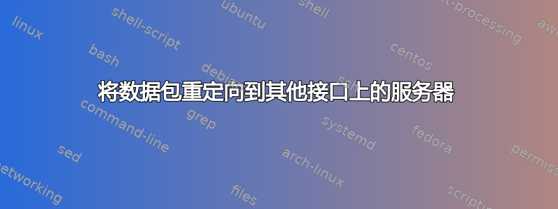 将数据包重定向到其他接口上的服务器