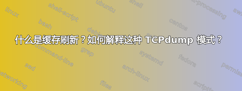 什么是缓存刷新？如何解释这种 TCPdump 模式？