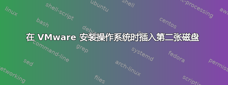 在 VMware 安装操作系统时插入第二张磁盘