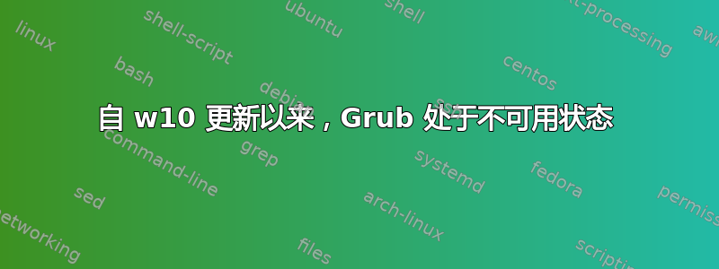 自 w10 更新以来，Grub 处于不可用状态