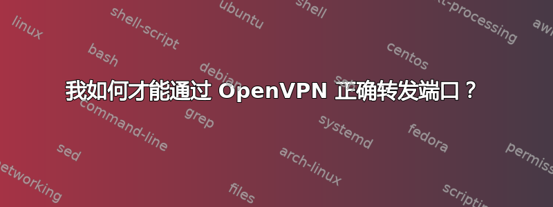 我如何才能通过 OpenVPN 正确转发端口？