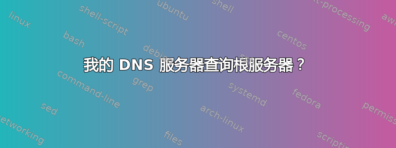 我的 DNS 服务器查询根服务器？