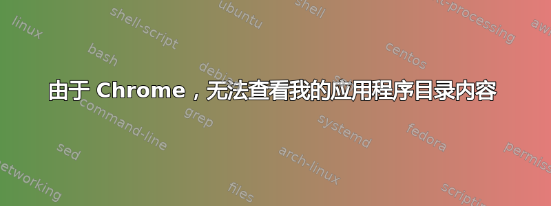 由于 Chrome，无法查看我的应用程序目录内容