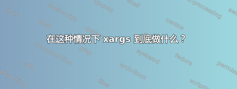 在这种情况下 xargs 到底做什么？