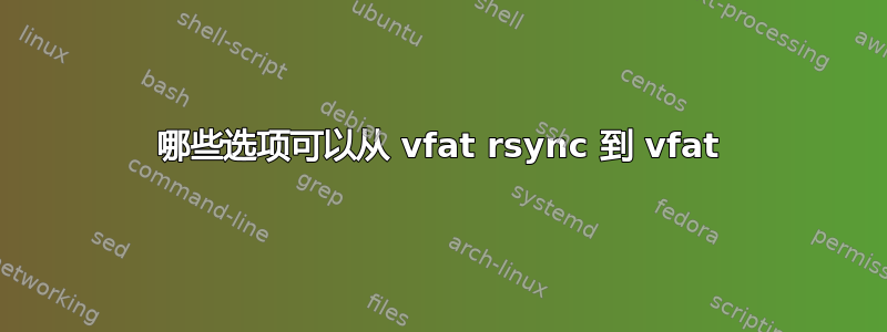 哪些选项可以从 vfat rsync 到 vfat