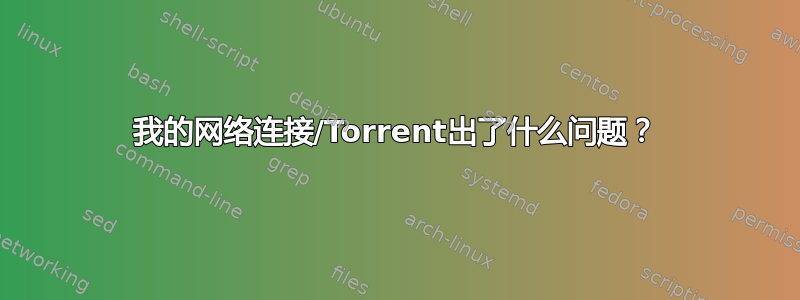 我的网络连接/Torrent出了什么问题？