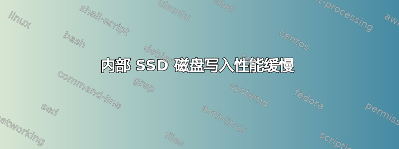 内部 SSD 磁盘写入性能缓慢