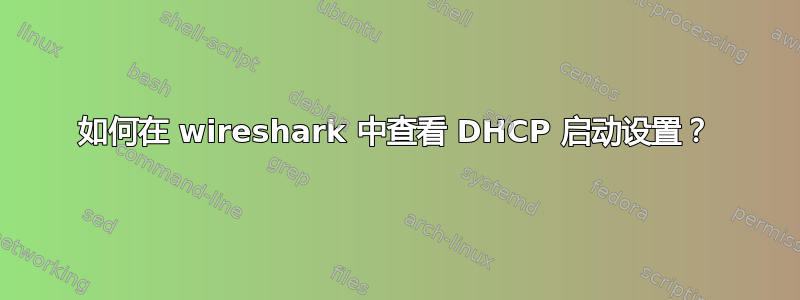 如何在 wireshark 中查看 DHCP 启动设置？