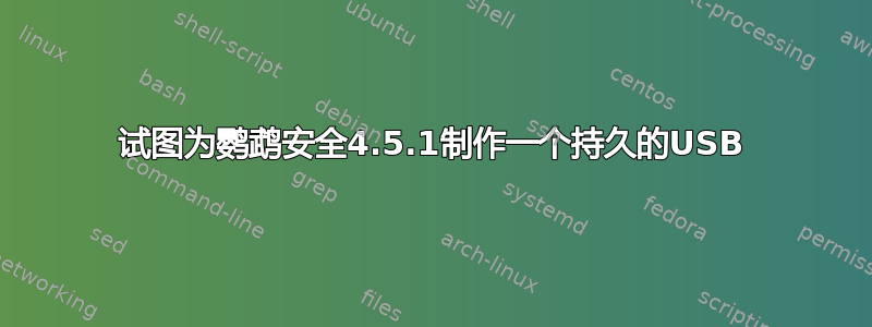 试图为鹦鹉安全4.5.1制作一个持久的USB