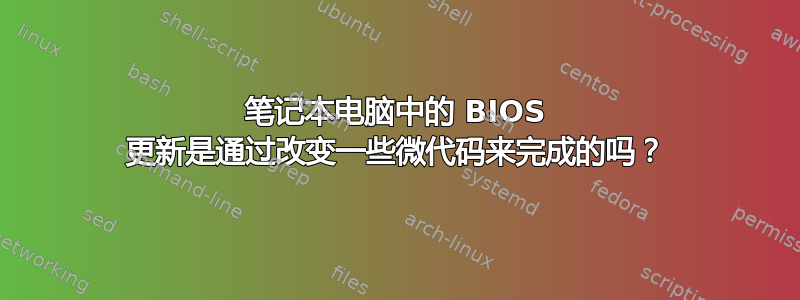 笔记本电脑中的 BIOS 更新是通过改变一些微代码来完成的吗？