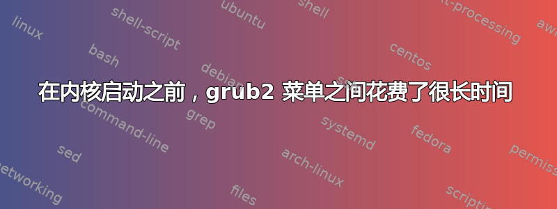 在内核启动之前，grub2 菜单之间花费了很长时间