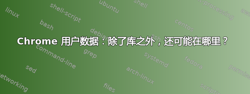 Chrome 用户数据：除了库之外，还可能在哪里？