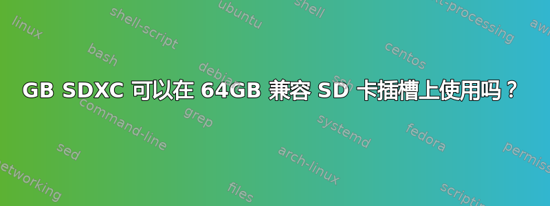 128GB SDXC 可以在 64GB 兼容 SD 卡插槽上使用吗？