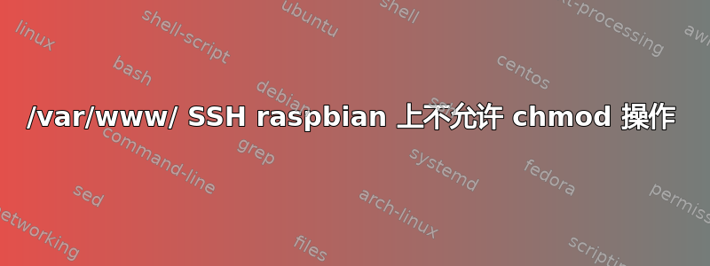 /var/www/ SSH raspbian 上不允许 chmod 操作