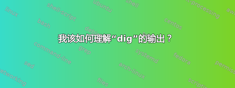 我该如何理解“dig”的输出？