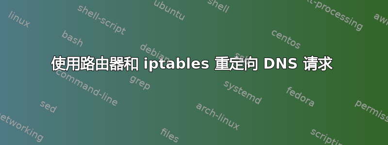 使用路由器和 iptables 重定向 DNS 请求