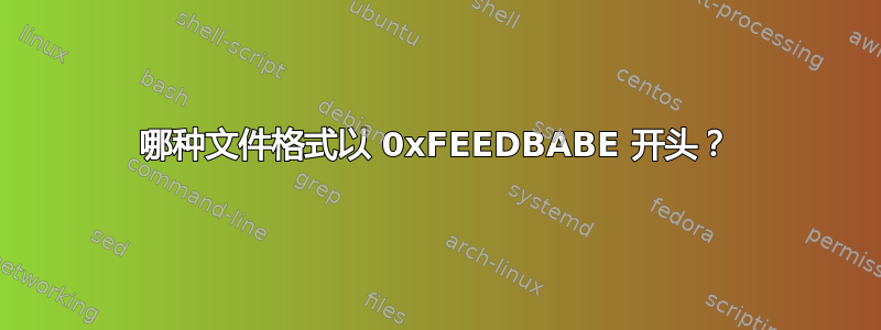 哪种文件格式以 0xFEEDBABE 开头？