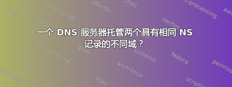 一个 DNS 服务器托管两个具有相同 NS 记录的不同域？