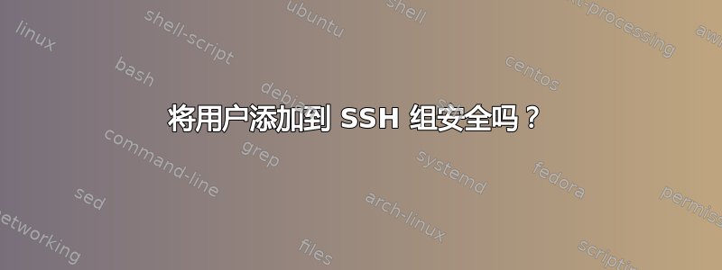 将用户添加到 SSH 组安全吗？