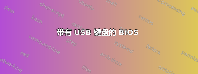 带有 USB 键盘的 BIOS