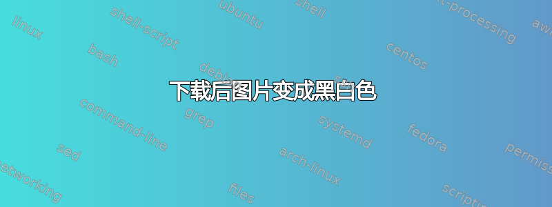 下载后图片变成黑白色