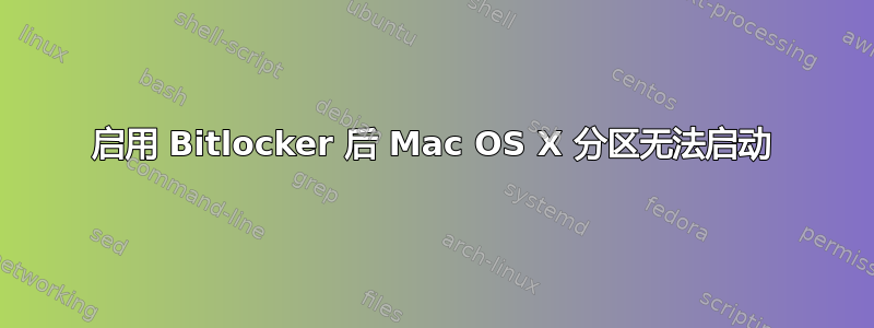 启用 Bitlocker 后 Mac OS X 分区无法启动