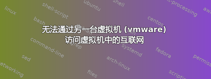 无法通过另一台虚拟机 (vmware) 访问虚拟机中的互联网