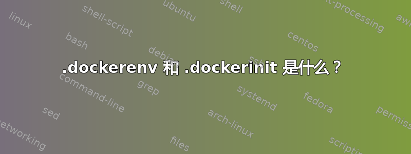 .dockerenv 和 .dockerinit 是什么？