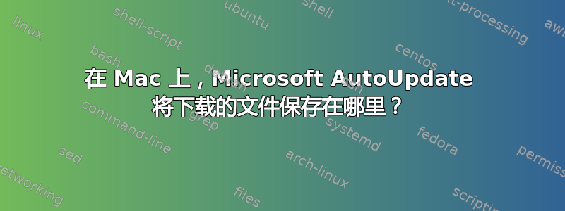 在 Mac 上，Microsoft AutoUpdate 将下载的文件保存在哪里？