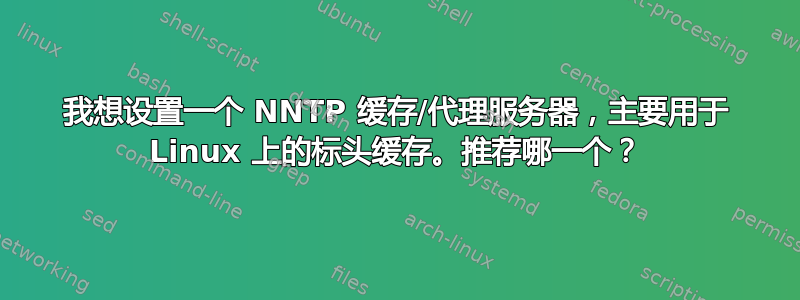 我想设置一个 NNTP 缓存/代理服务器，主要用于 Linux 上的标头缓存。推荐哪一个？