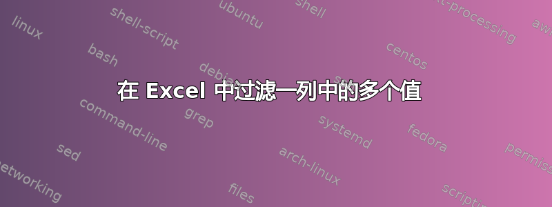 在 Excel 中过滤一列中的多个值 