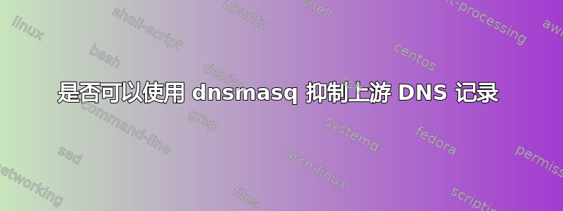 是否可以使用 dnsmasq 抑制上游 DNS 记录