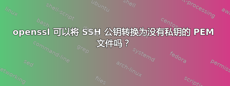 openssl 可以将 SSH 公钥转换为没有私钥的 PEM 文件吗？