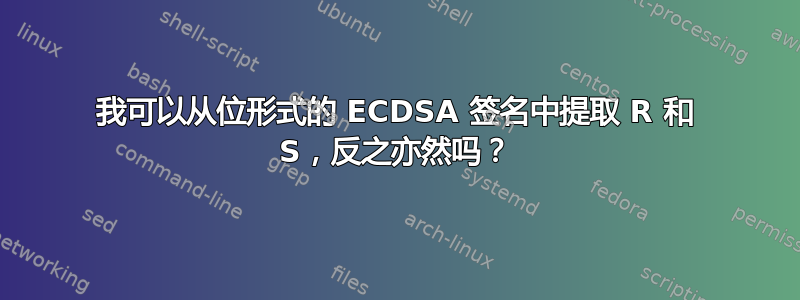 我可以从位形式的 ECDSA 签名中提取 R 和 S，反之亦然吗？