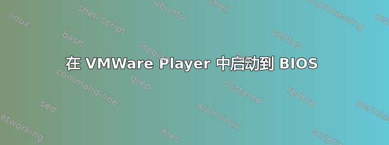 在 VMWare Player 中启动到 BIOS