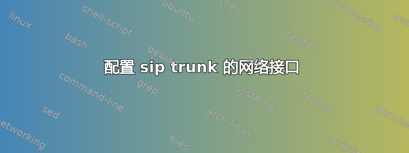 配置 sip trunk 的网络接口