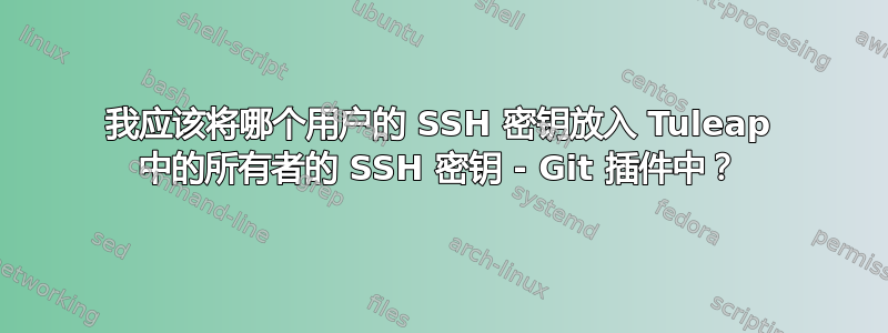 我应该将哪个用户的 SSH 密钥放入 Tuleap 中的所有者的 SSH 密钥 - Git 插件中？