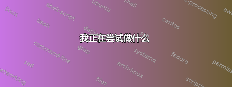 我正在尝试做什么