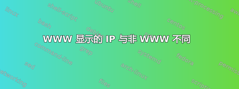 WWW 显示的 IP 与非 WWW 不同 