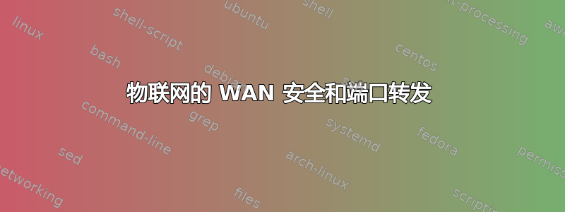 物联网的 WAN 安全和端口转发