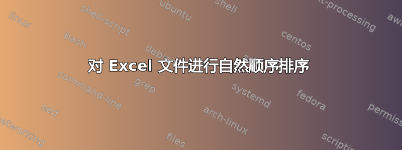 对 Excel 文件进行自然顺序排序