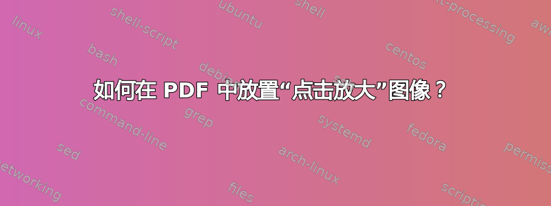 如何在 PDF 中放置“点击放大”图像？