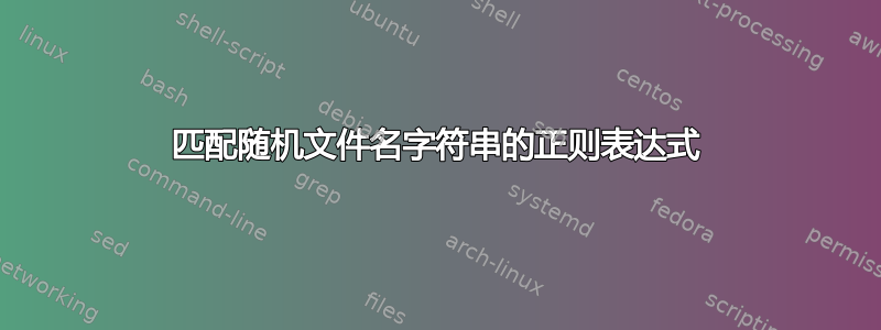 匹配随机文件名字符串的正则表达式