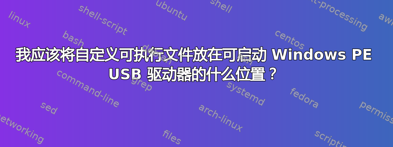 我应该将自定义可执行文件放在可启动 Windows PE USB 驱动器的什么位置？