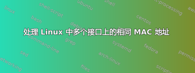 处理 Linux 中多个接口上的相同 MAC 地址