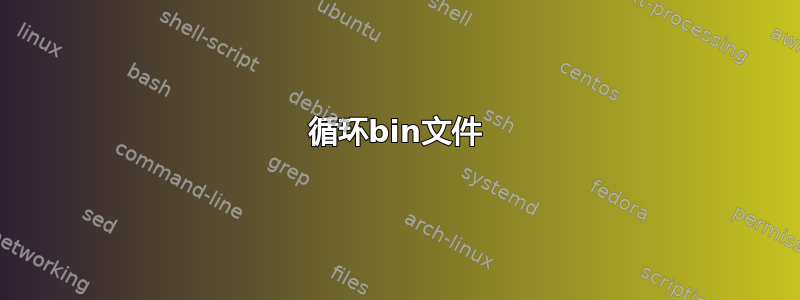 循环bin文件