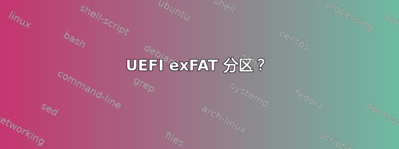 UEFI exFAT 分区？